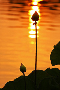 重庆力帆大胜江苏苏宁，豪取主场三分