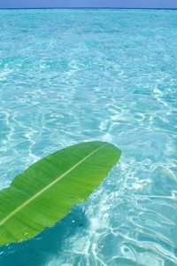 重庆力帆大胜江苏苏宁，豪取主场三分