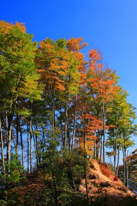 重庆力帆大胜江苏苏宁，豪取主场三分