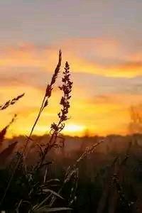 长春亚泰士气高涨，压哨进球带走胜利