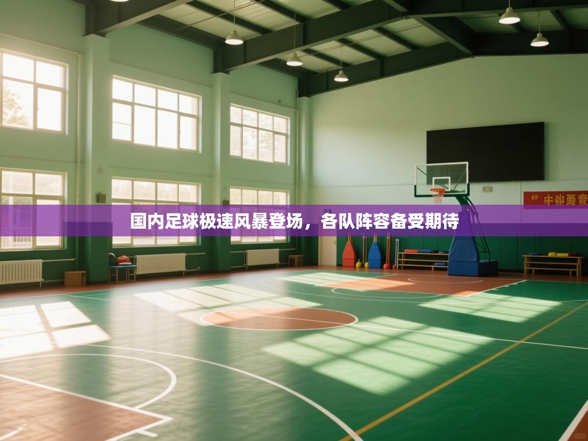 国内足球极速风暴登场，各队阵容备受期待