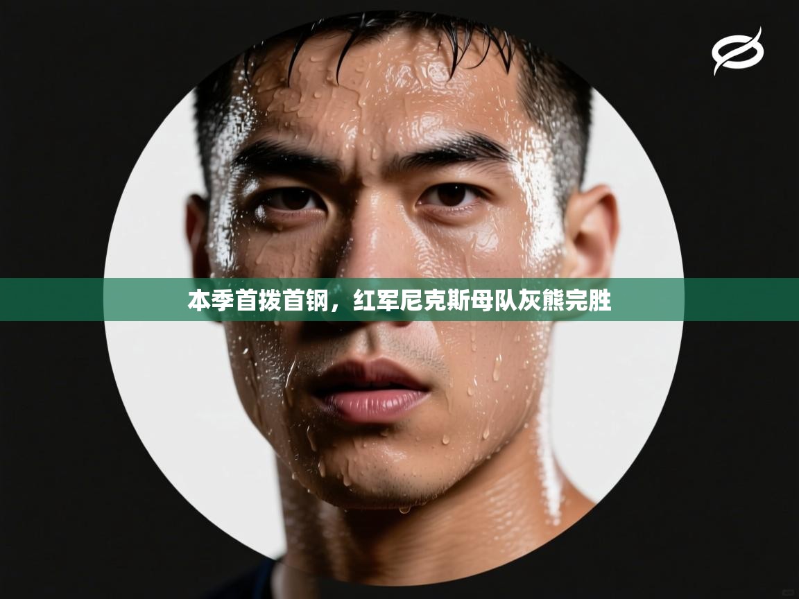 本季首拨首钢，红军尼克斯母队灰熊完胜  第2张