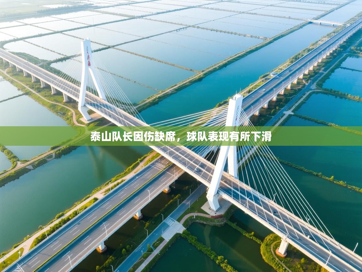 泰山队长因伤缺席，球队表现有所下滑  第2张