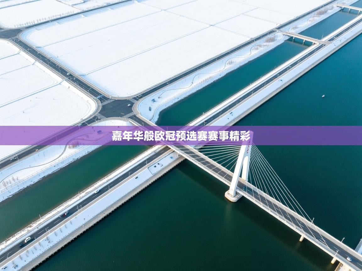 嘉年华般欧冠预选赛赛事精彩  第2张